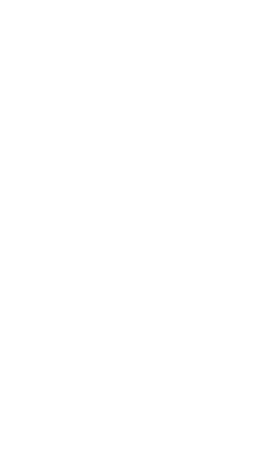 bg-vector